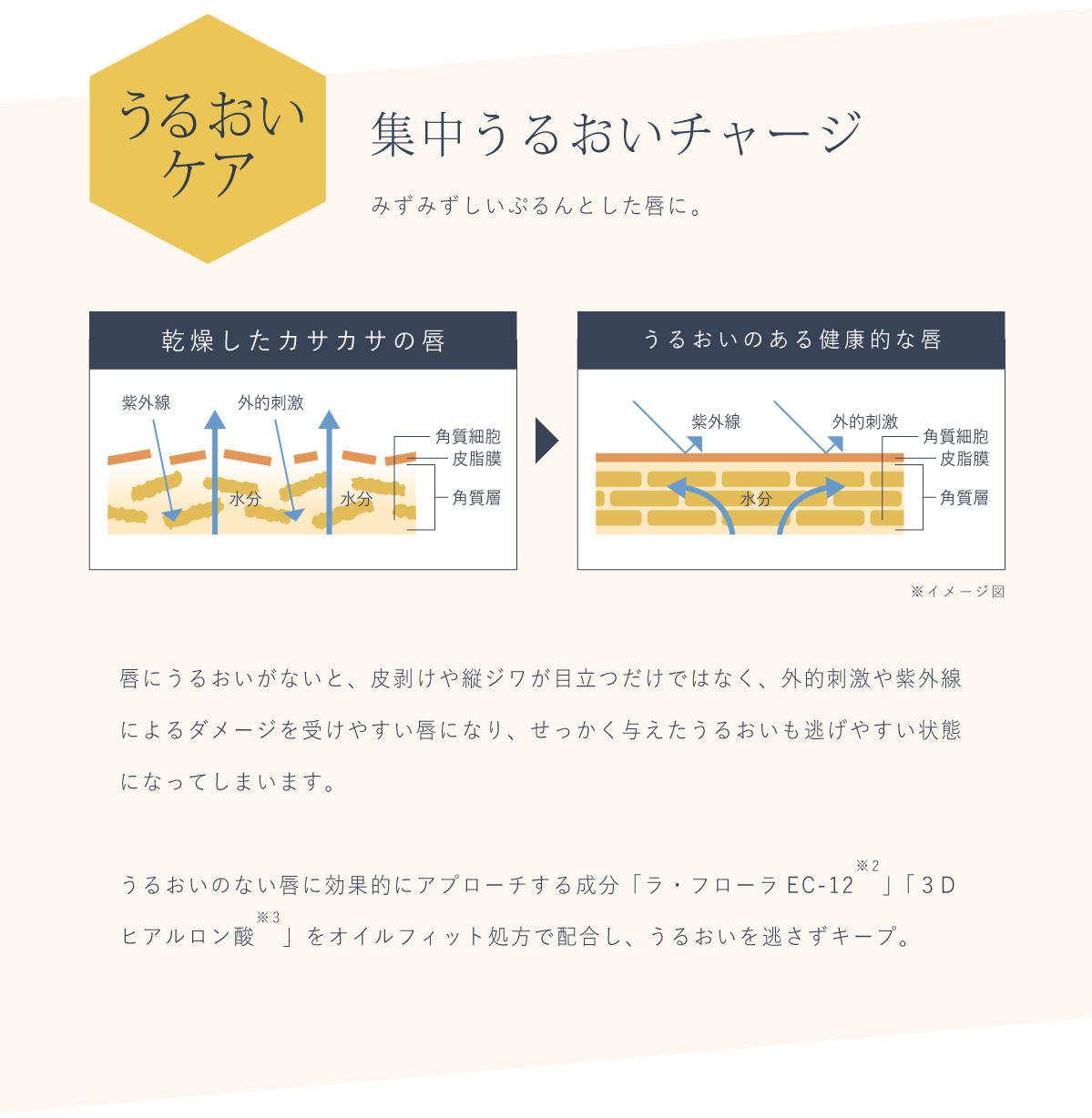 集中うるおいチャージ